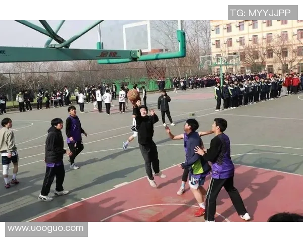 在阳光下挥洒汗水的青春男孩们篮球场上的激情与梦想
