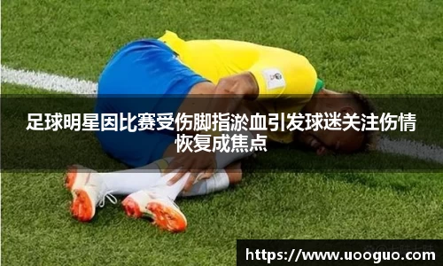 lehu66乐虎官网平台